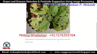 Grapes Plant Disease Detection and Pesticide Suggestion Using Machine Learning Python Project