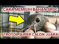 Download Lagu cara memilih bahan srdc trotol yang super dan calon juara#srdcbali