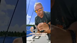 BOAT REPAIRS after a storm 🔧 #fixitnow #sailinglife