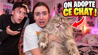 ON A ADOPTÉ UN CHAT TROP BIZARRE ! - PINK LILY