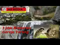 Download Lagu Masteran Gereja Tarung dengan suara air durasi 1 jam