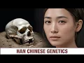 Download Lagu Scientists Reveal Surprising Genetic Origins of Han Chinese