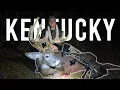 170 KENTUCKY BOONER Dramatic Tracking Job