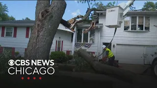 Storms leave trees on cars and houses rip off roofs in Northwest Indiana