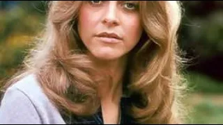 Jaime Sommers The Bionic Woman Wikipedia article