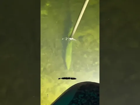 ¡Por qué la pesca en hielo es más difícil de lo que crees!