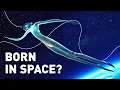 Download Lagu What If You Were Born in Space
