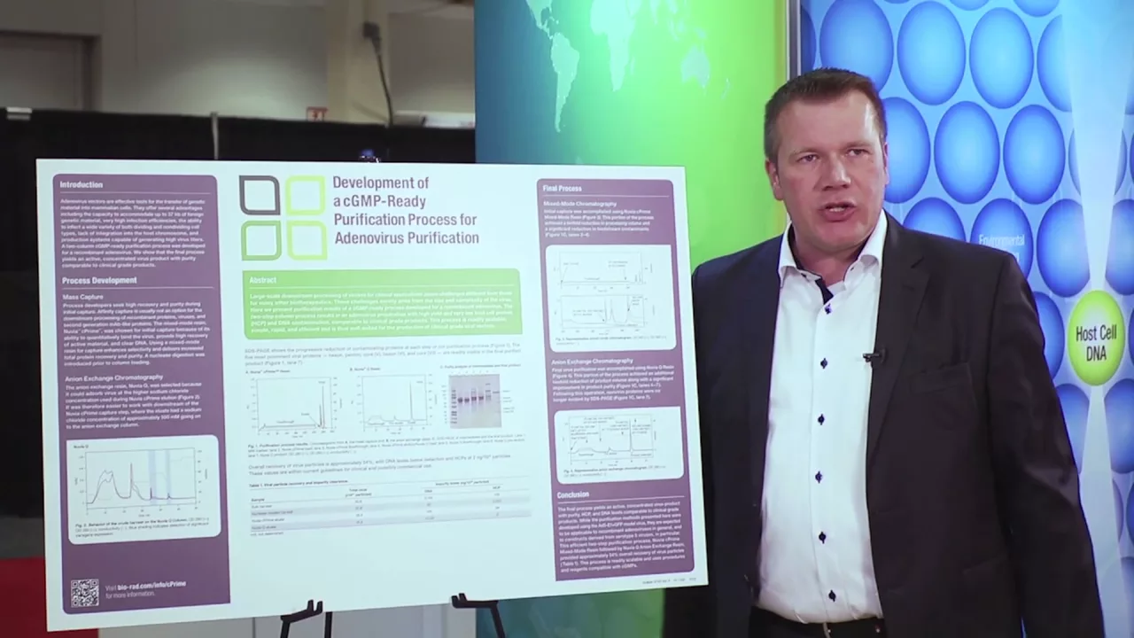 Development of an Efficient Manufacturing Process for Adenovirus