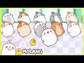 Download Lagu Molang - Flash Mob | Meer ⬇️ ⬇️ ⬇️