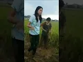 Download Lagu ftv hardifadilah dan nadia arina mandi disawah