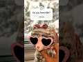 She s one of the cutest Beanie Boo cats