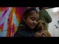 About Emancipet