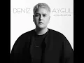 Ayrılığın Kitabı - Deniz Aygül