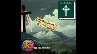 Sitti Qabameen Adeema Iji Koo Gara Kee Ilala Yaa Isa Waan Hundumaan Gutuu Dubbii Keettaa Walii Gala 