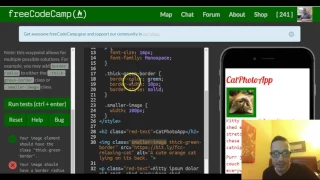 Add Rounded Corners with a Border Radius freeCodeCamp review html css lesson 19