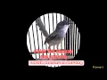 Download Lagu Burung ciblek full nembak dan ngebren cocok untuk masteran burung