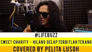 Download LifeBuzz: Pelita Lusoh - Hilang Gelap Terbitlah Terang (Originally performed by Sweet Charity) MP3