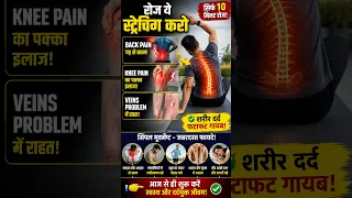 रोज ये स्ट्रेचिंग करो – Back Pain, Knee Pain और Veins Problem दूर! 😱 – शरीर दर्द फटाफट गायब!