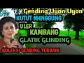 Lagu ALBUM GENDING UYON UYON TERBAIK: Kutut Manggung, Uler Kambang \u0026 Glatik Glinding - KABEH NYAMLENG LUR