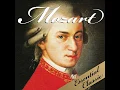 Eine kleine nachtmusik : 1st movement