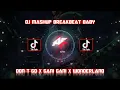 DJ MASHUP BREAKBEAT BABY DON T GO X GANI GANI X WONDERLAND