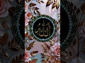 Download Lagu Beautiful❤️ ❤️#islamic #viral#sajid #maslakealahazratsalamatrahe #islamicvideo #unfrezzmyaccount