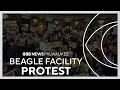 Protesters urge Gov Evers to intervene in beagle rescue at Dane County farm