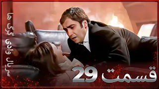 سریال وادی گرگ ها 29 قسمت را تماشا کنید Farsi Dubbed 