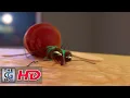 Download Lagu CGI 3D Animated Short \