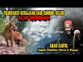 Download Lagu Transaksi Kerajaan Gaib Gunung Kelud - Alas Simpenan - Abah Saiful