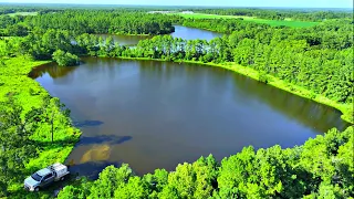 Restoring A 50 Year Old Abandoned Pond! (Adding Fish)
