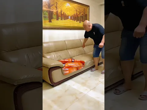 पापा के सोफा पर रसमलाई  🥵~ll New Viral Gadgets, Smart Appliances, Kitchen Utensils, Home Inventions