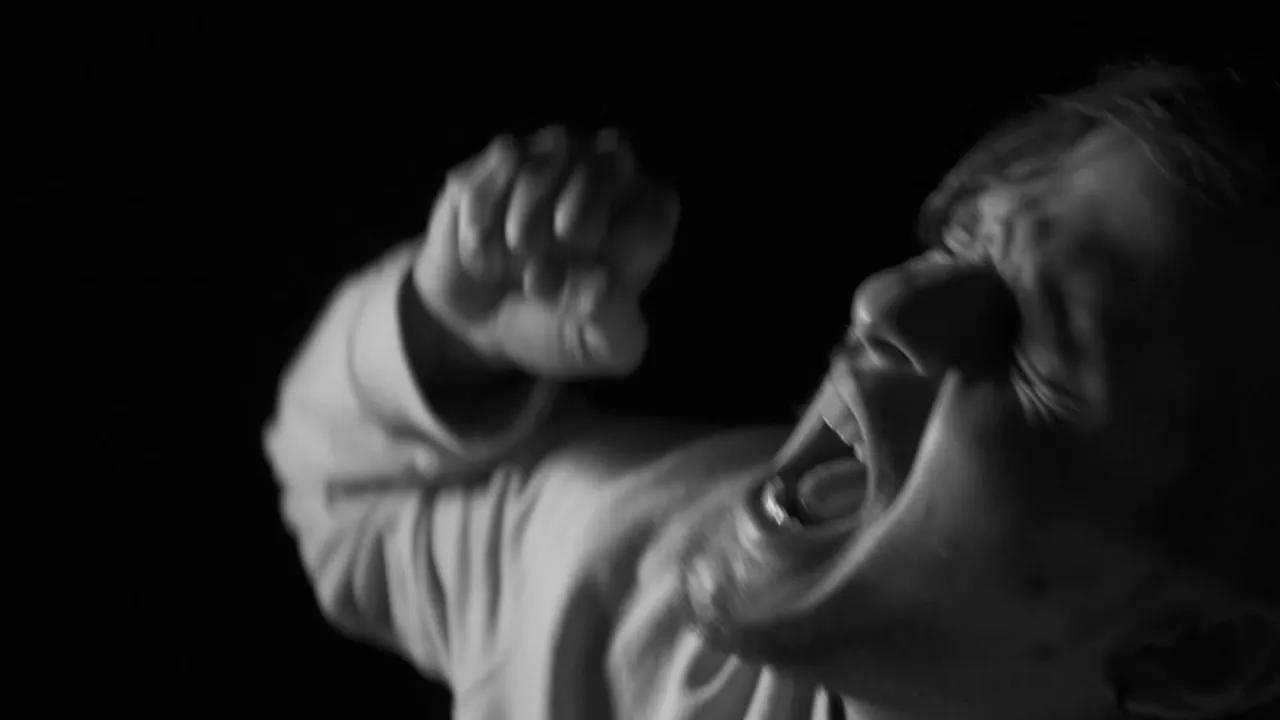 Megaloceros - My Conscience And Me