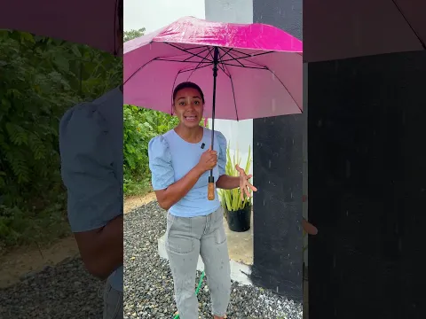 Puse a prueba mi pintura de nopal bajo la lluvia