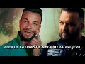 Download Lagu Alex de la Orastie \u0026 Borko Radivojevic - Ochii tai sa vada