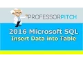 SQL Studio SQL Insert Data Into Table Beginners