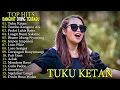 Lagu TUKU KETAN DINI KURNIA FULL ALBUM LAGU DANGDUT KOPLO BANYUWANGI! BISA KOPLO