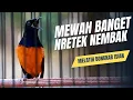 Lagu MURAI BATU GACOR FULL ISIAN TEMBAKAN KASAR AMPUH MELATIH MURAI BATU BONGKAR ISIAN
