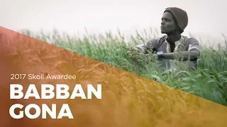 babban gona kola masha skoll award 2017