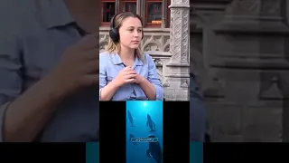 ردة فعل اجنبية على القرأن الكريم و ياسر الدوسري 