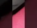 funny Walmart stories
