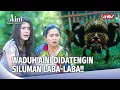 Lagu Siluman Laba-laba Cari Mangsa | Aini Malaikat Tak Bersayap Eps 190 (1/5)