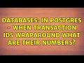 Databases In Postgres - when transaction IDs wraparound what are their numbers