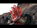 Download Lagu Trust Me | Super Samurai | Full Episode | S19 | E12 | Power Rangers Official