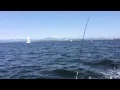 Mukilteo Crabbing and Fishing