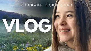ОСТАЛАСЬ ОДНА ДОМА! 😱 Мой продуктивный влог | Анютка-малютка