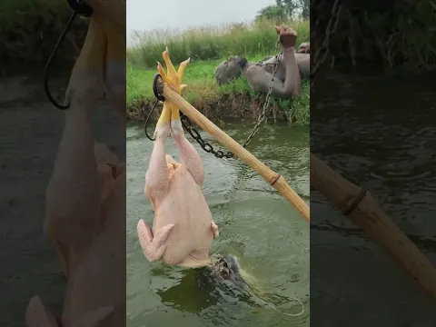 Muddy man fishing with a whole chicken trap