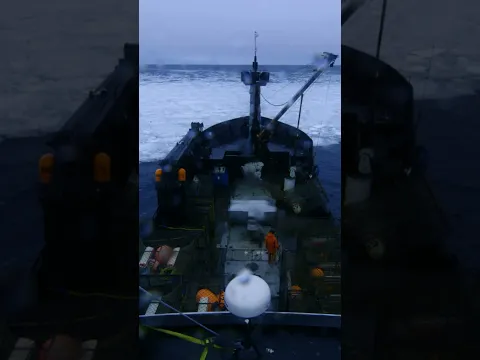 Frozen Harbor. #DeadliestCatch