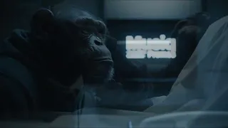 musiq promos ai rest in peace to the fallen 