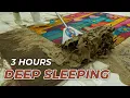 3 Hours Of Magic Carpet Cleaning To Enhance Sleep - Reduce Stress